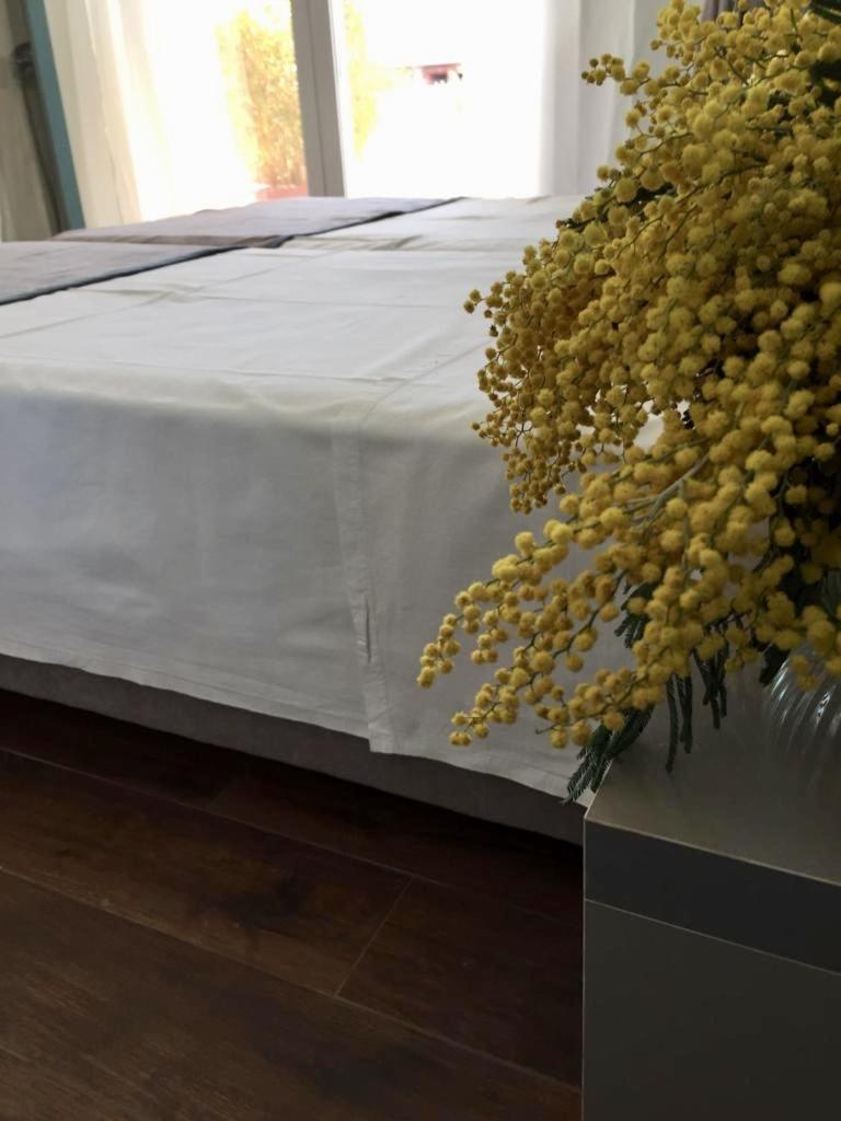 Amberyellowbnb Shkodër Buitenkant foto